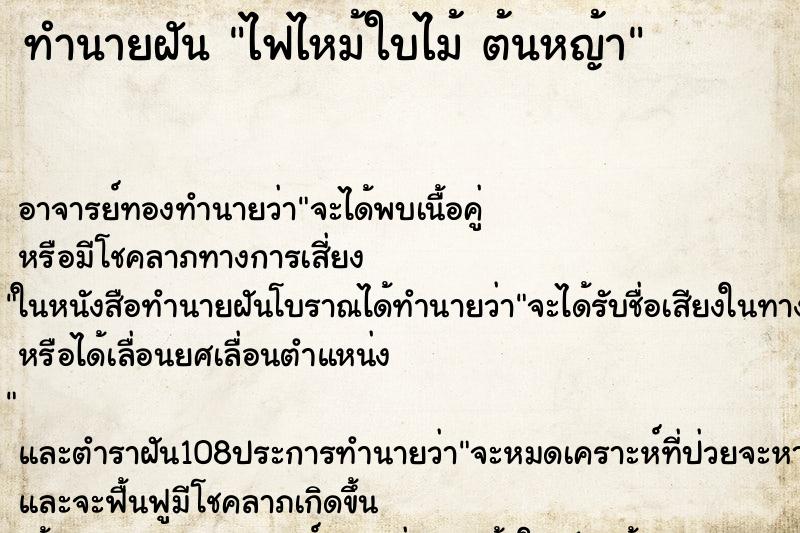ทำนายฝัน ไฟไหม้ใบไม้ ต้นหญ้า